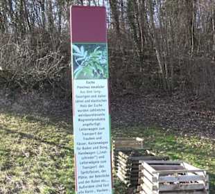 Weinerlebnisweg