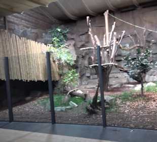 Regenwaldhaus