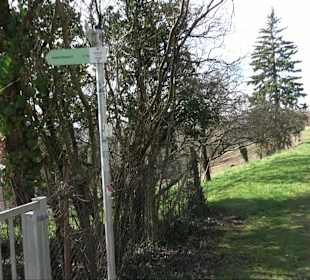 Hirschauer Spitzbergwegle (Premiumspazierwanderweg