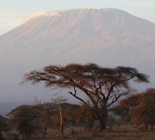 Kilimanjaro