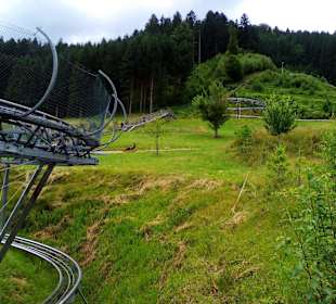 Sommerrodelbahn Gutach in Gutach im Schwarzwald