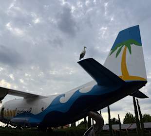 Irrland Bauernhof-Erlebnisoase