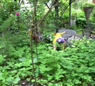 Mezger's Bürgle Park