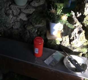 Lourdesgrotte Sonderbuch