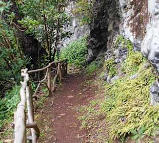 Palheiro Gardens