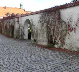 Parkanlage Hofgarten