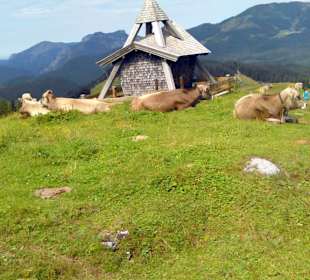 Auf dem Weg von der Steinplatte zur Stallenalm