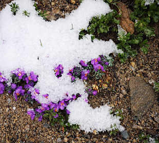 Wandern Heiligenblut