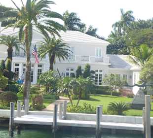 Palm, Star od. Fisher island