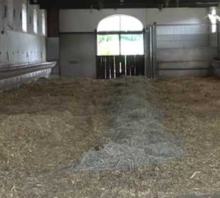 Haupt- und Landgestüt Marbach