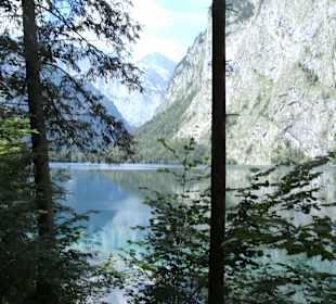 Obersee