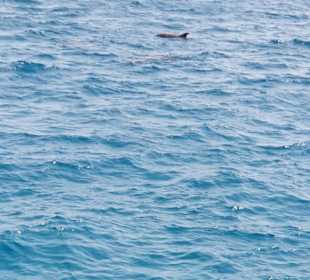 Kariobikfeelingtour / Sandbank