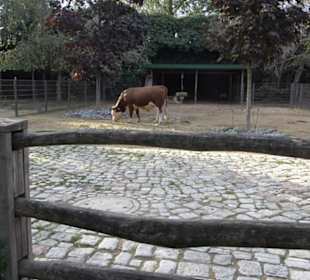 Zoologischer Garten