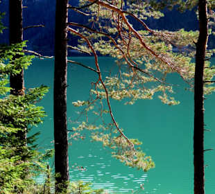 Glasklares Wasser