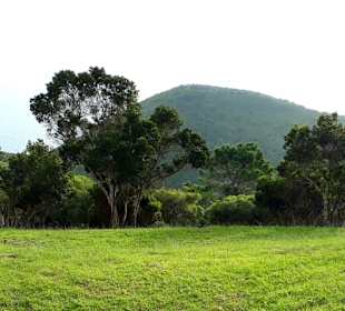 Inselrundfahrt Terceira