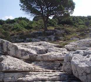 Kap Kamenjak