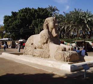 Alabastersphinx in Memphis