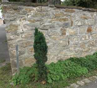Friedhof Gomaringen