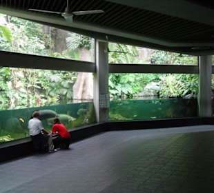 Tierpark Aquarium