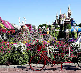 Miracle Garden