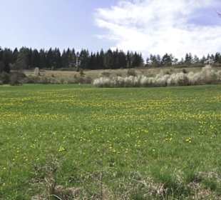 Wanderweg Hochgehswiggert