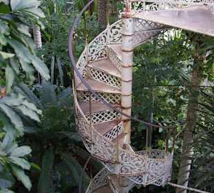 Botanischer Garten - Wendeltreppe im Palmenhaus
