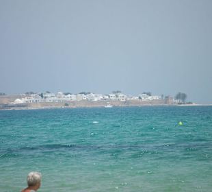 Blick auf die Medina von Hammamet