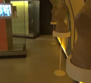 Museum Artes del Libro