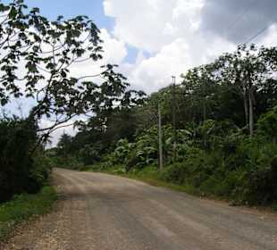 Straße südlich von Sabana d.l. Mar