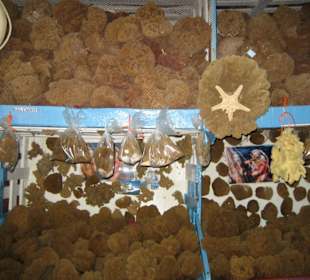 Schwammtaucherladen in Kalymnos