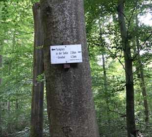 Sonnenaufgangs-Rundwanderung Rübgarten