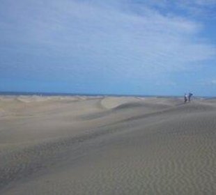 Wydmy na plaży del Ingles