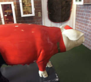 SchweineMuseum