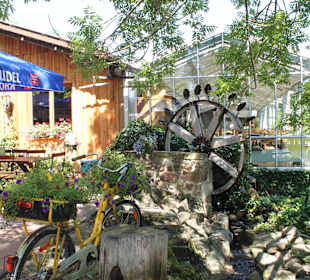 Blick auf die Westseite der Kneshecke