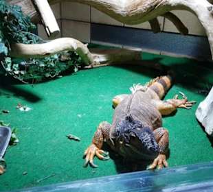 Exotarium
