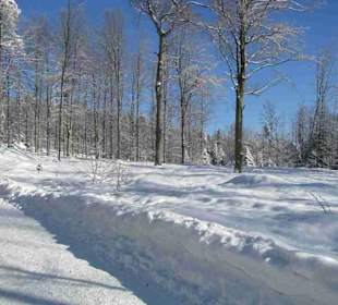 Nationalpark Bayrischer Wald