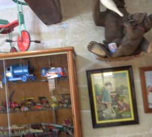 Toy Museum