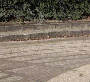 Unterer Schlossgarten Stuttgart