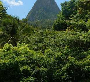 Berg Piton Landausflug St.Lucia