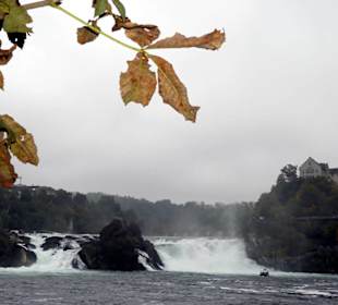 Rheinfall