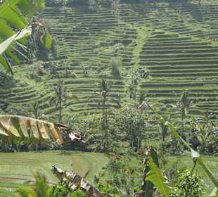 Tour A