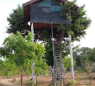 Baumhaus