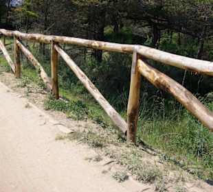 Radweg Naturschutz neuer Zaun