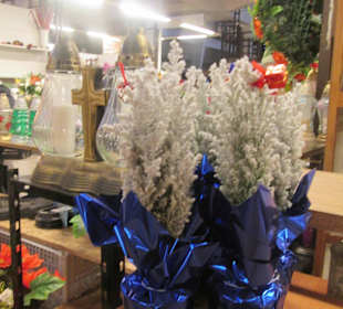 Hala Targowa Wrocław