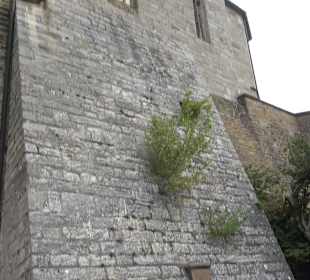 Burg Hohenzollern