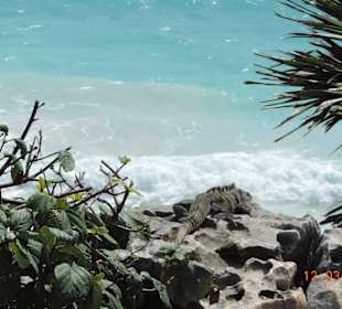 Tulum Strand