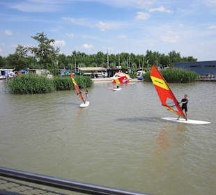 Surfer