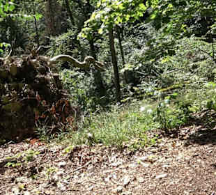 Nebelhöhle