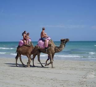 Der wunderschöne Sidi-Mahrez Strand