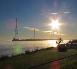 Fischmarkt Hamburg-Altona